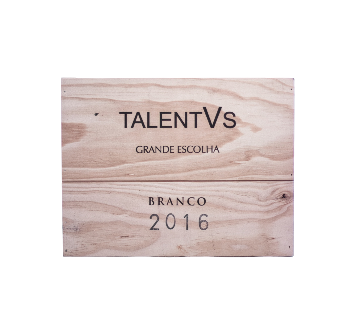 TalentVsMemrias2020HvidvinfraSearadOrdens-04