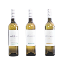 Hvidvin smagesæt - enkeltdrue - 3 vine